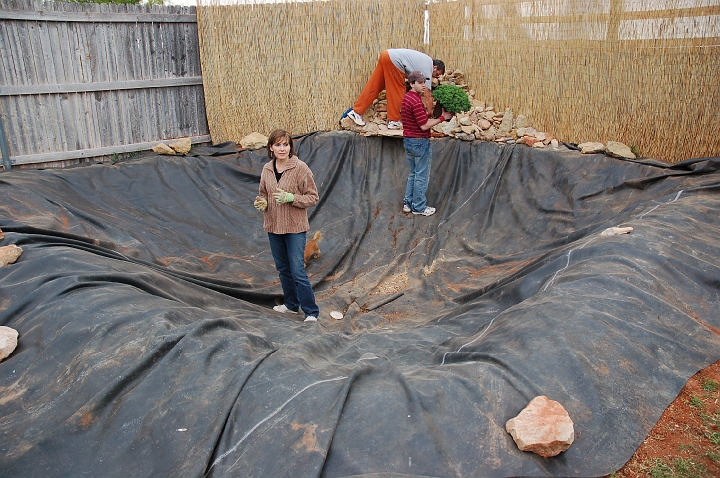 Bonsai being planted.jpg